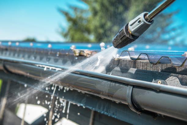 Best Local Pressure Washing Services  in Rogersville, AL