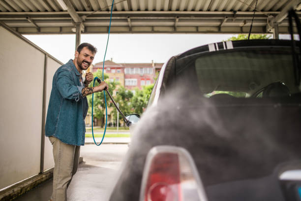 Best Local Pressure Washing Services  in Rogersville, AL